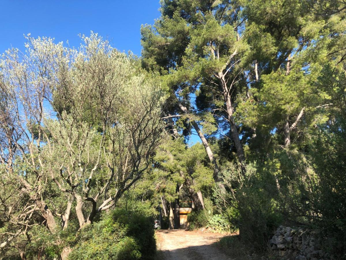 Апартаменты Les Pins Ле-Кастелле Экстерьер фото